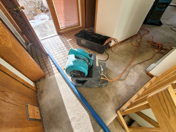 Best Water damage contractors near me  in Wesley Chapel, NC