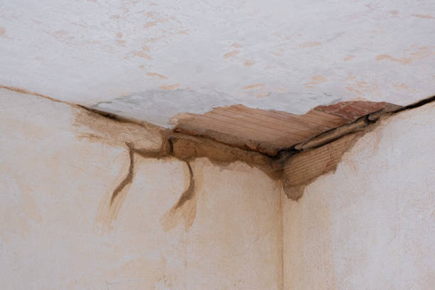 Best Emergency water damage restoration  in Wesley Chapel, NC
