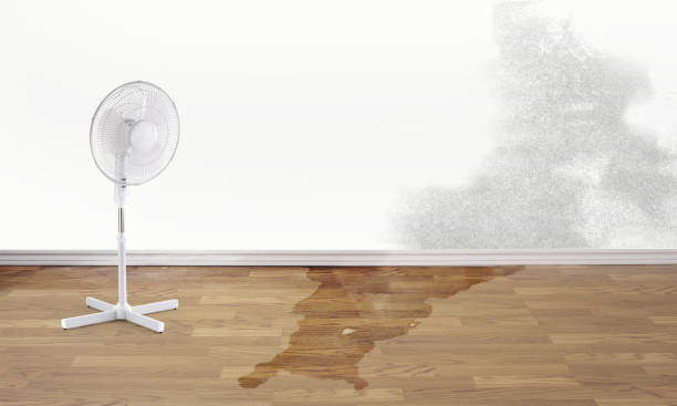 Best Water damage restoration near me  in Wesley Chapel, NC
