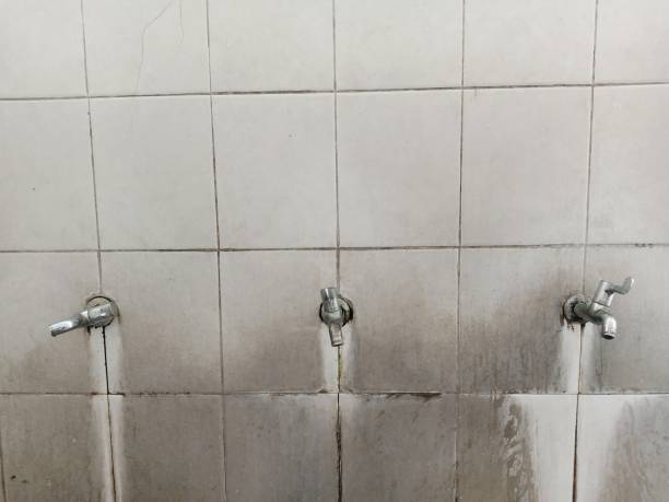 Best Commercial water damage restoration  in Wesley Chapel, NC