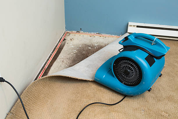 Best Basement water damage restoration  in Wesley Chapel, NC